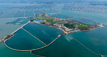 北京贝奥兰莅临深蓝肽平岛基地考察3日行