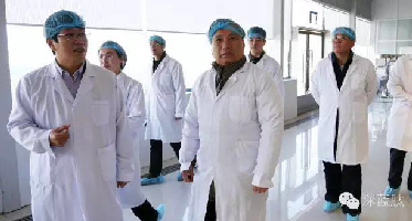 大连市市委常委、王启尧副书记莅临深蓝肽平道基地考察指导