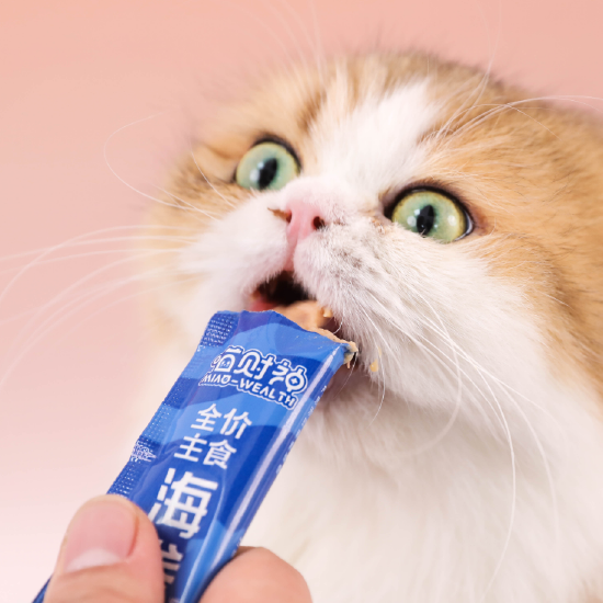 海参猫条细节图