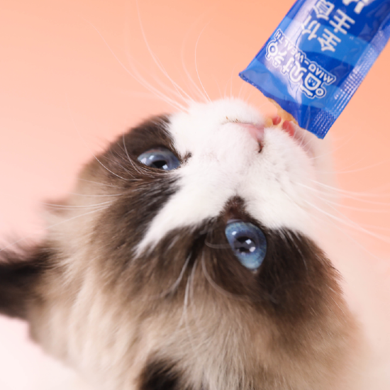 海参猫条细节图