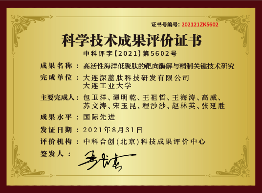 国际先进水平