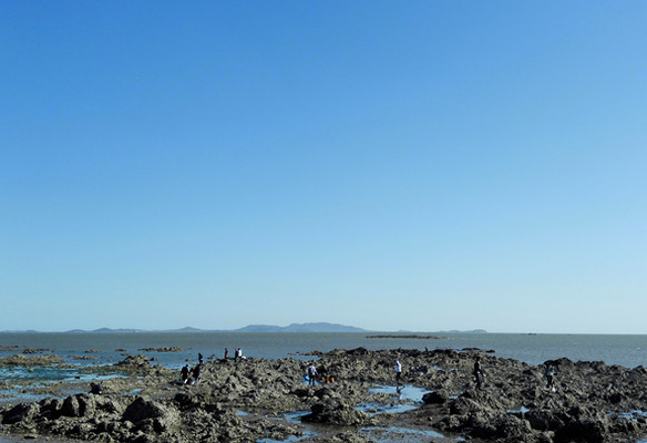 01_584x400.jpg