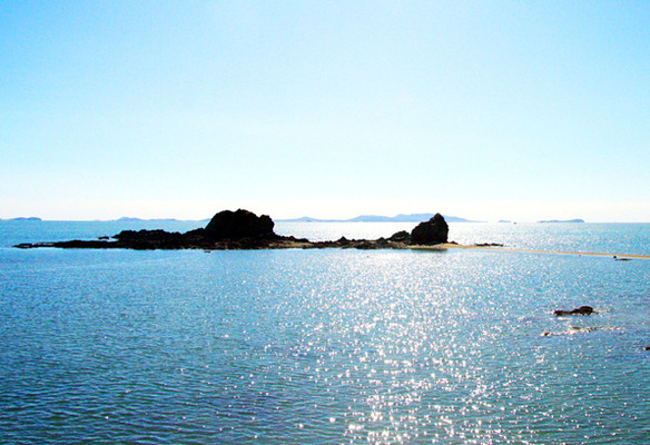02_584x400.jpg