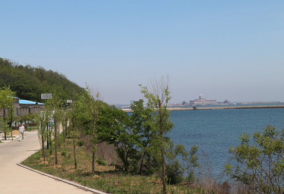 04_584x400.jpg